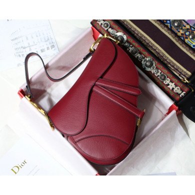 M0447CWVG, MINI DIOR SADDLE CALFSKIN BAG