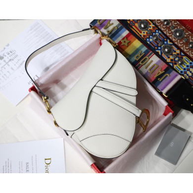 M0447CWVG, MINI DIOR SADDLE CALFSKIN BAG