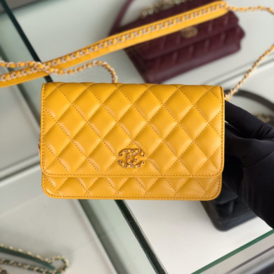 AP0724 Wallet On Chain, Chanel Bag