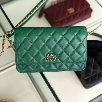 AP0724 Wallet On Chain, Chanel Bag