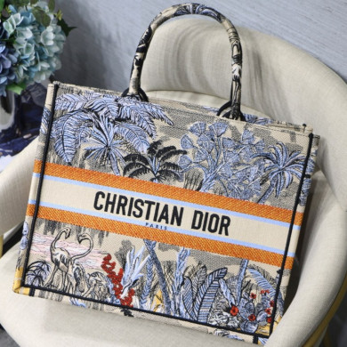DIOR BOOK TOTE BAG IN EMBROIDERED CANVAS
