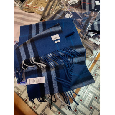Burberry Scarves