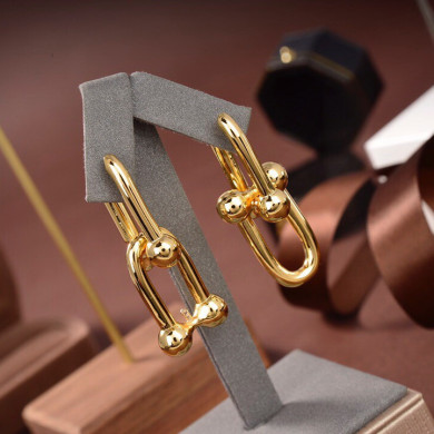 Earrings & Ear Stud, Tiffany & Co.    1.4“ Long
