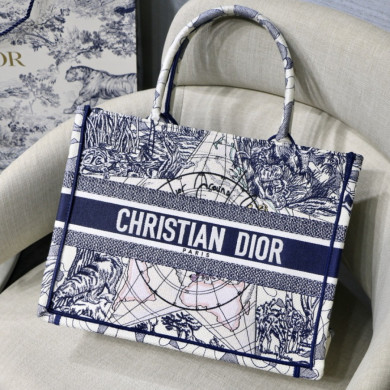 SMALL DIOR BOOK TOTE