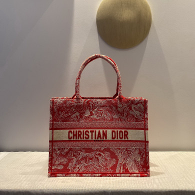 SMALL DIOR BOOK TOTE
