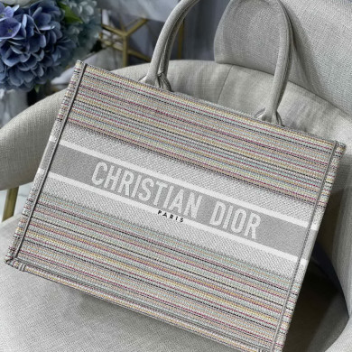 SMALL DIOR BOOK TOTE