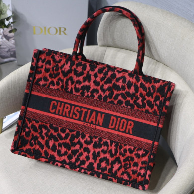 SMALL DIOR BOOK TOTE
