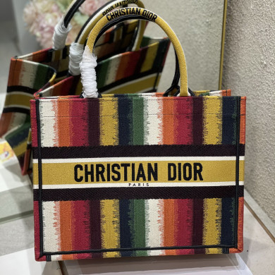SMALL DIOR BOOK TOTE