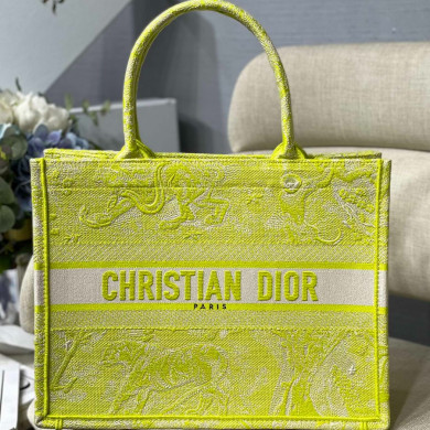 SMALL DIOR BOOK TOTE