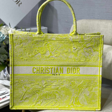 DIOR BOOK TOTE