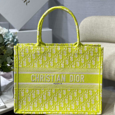 SMALL DIOR BOOK TOTE
