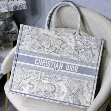 DIOR BOOK TOTE