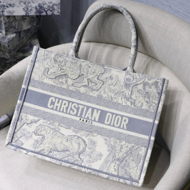 SMALL DIOR BOOK TOTE