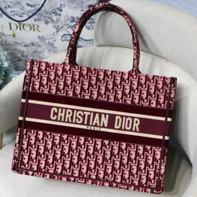 SMALL DIOR BOOK TOTE