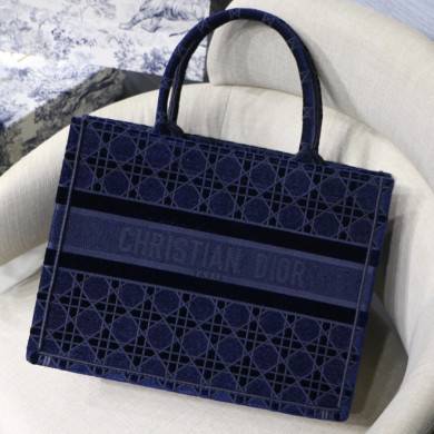 SMALL DIOR BOOK TOTE