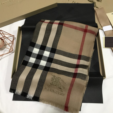 Burberry Scarves