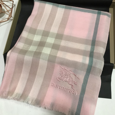 Burberry Scarves