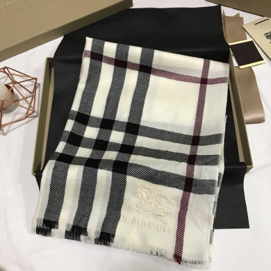Burberry Scarves