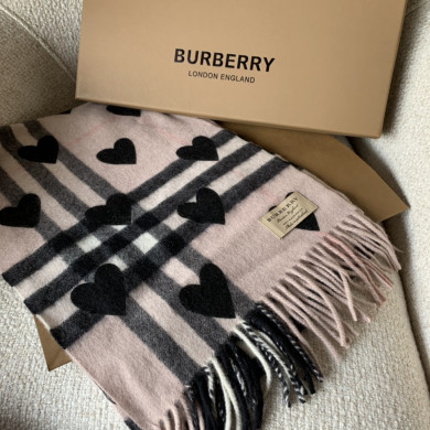 Burberry Scarves