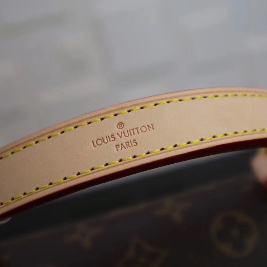 M42738, Louis Vuitton LV, CLUNY BB Monogram