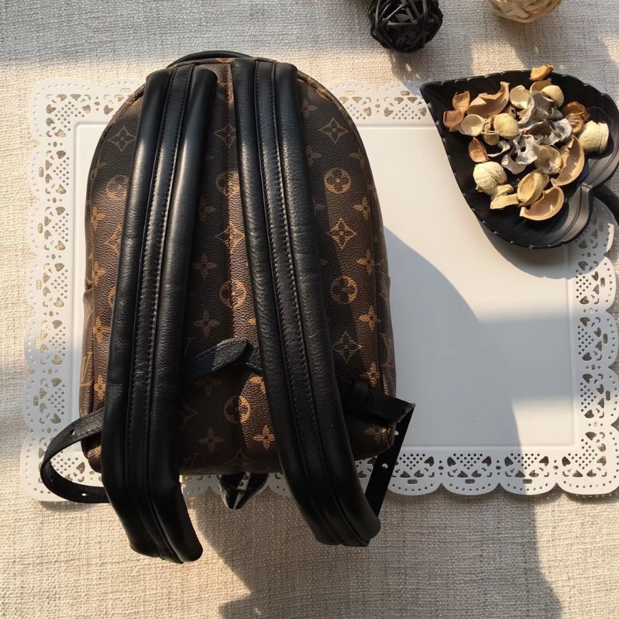 M41560, LOUIS VUITTON LV, PALM SPRINGS BACKPACK PM