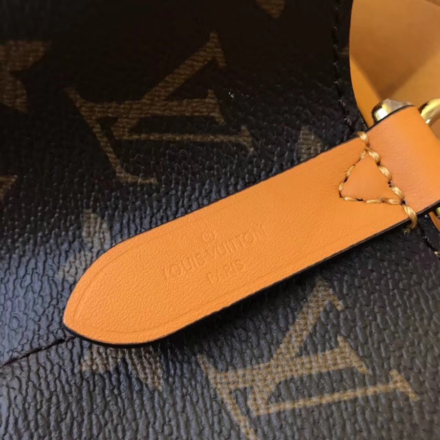 Louis Vuitton LV, Néonoé Bag, M43430