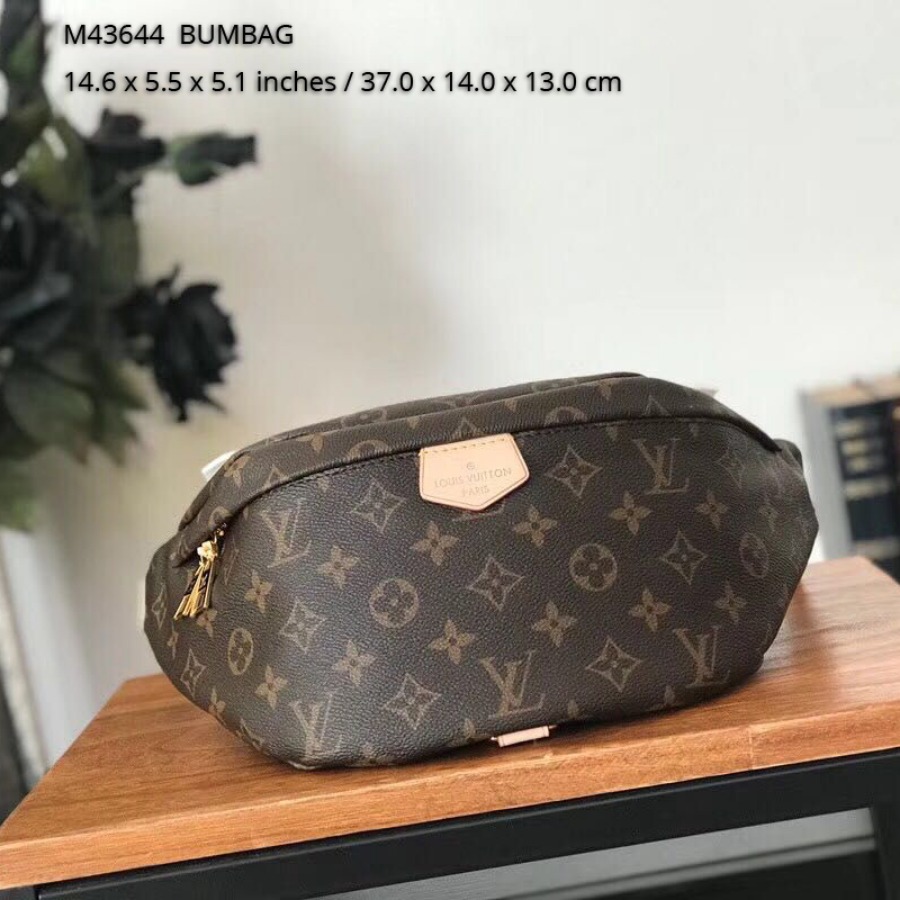 M43644, LOUIS VUITTON LV, BUMBAG
