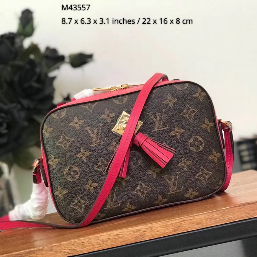 M43557, SAINTONGE, Louis Vuitton LV