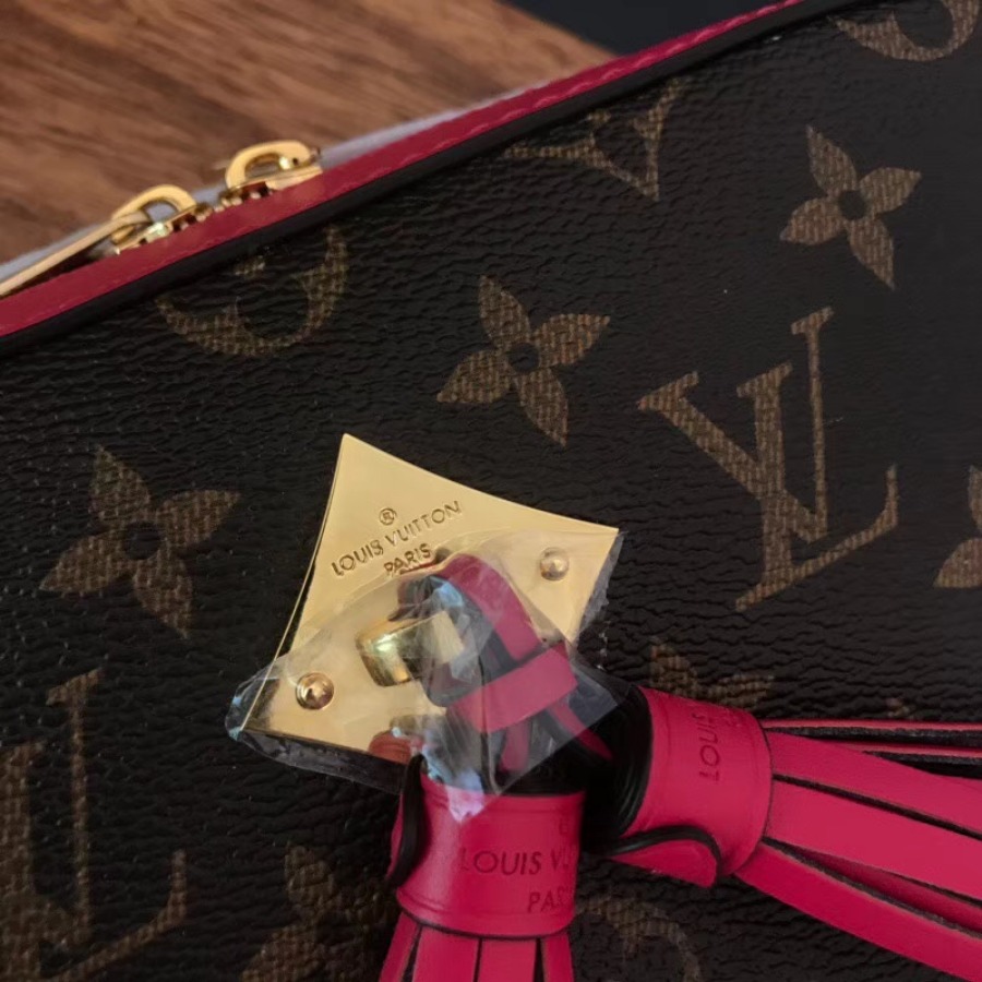 M43557, SAINTONGE, Louis Vuitton LV