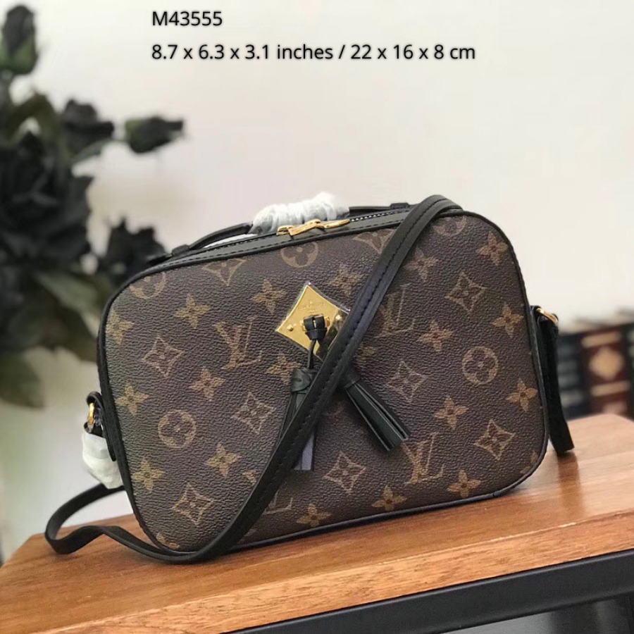 M43555, SAINTONGE, Louis Vuitton LV