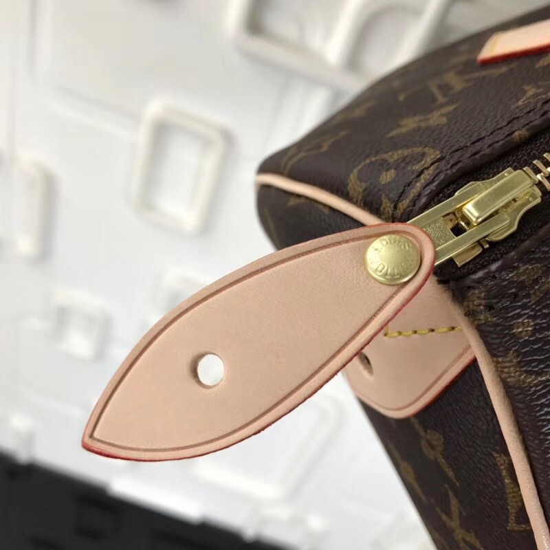 M41109, SPEEDY 25 Monogram, Louis Vuitton LV Top handle Bag