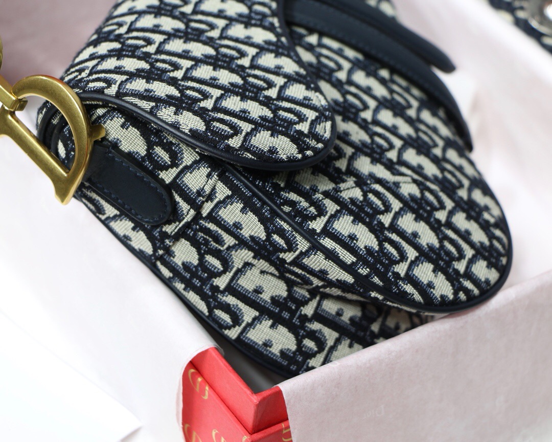 M0446CTZQ, DIOR OBLIQUE SADDLE BAG