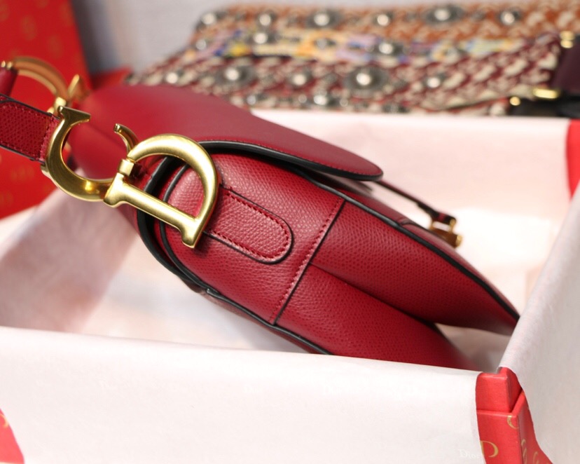 M0446CWVG, DIOR SADDLE CALFSKIN BAG