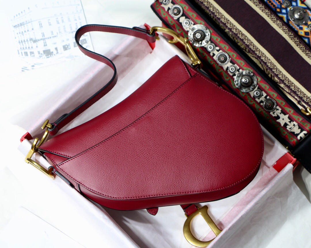M0447CWVG, MINI DIOR SADDLE CALFSKIN BAG