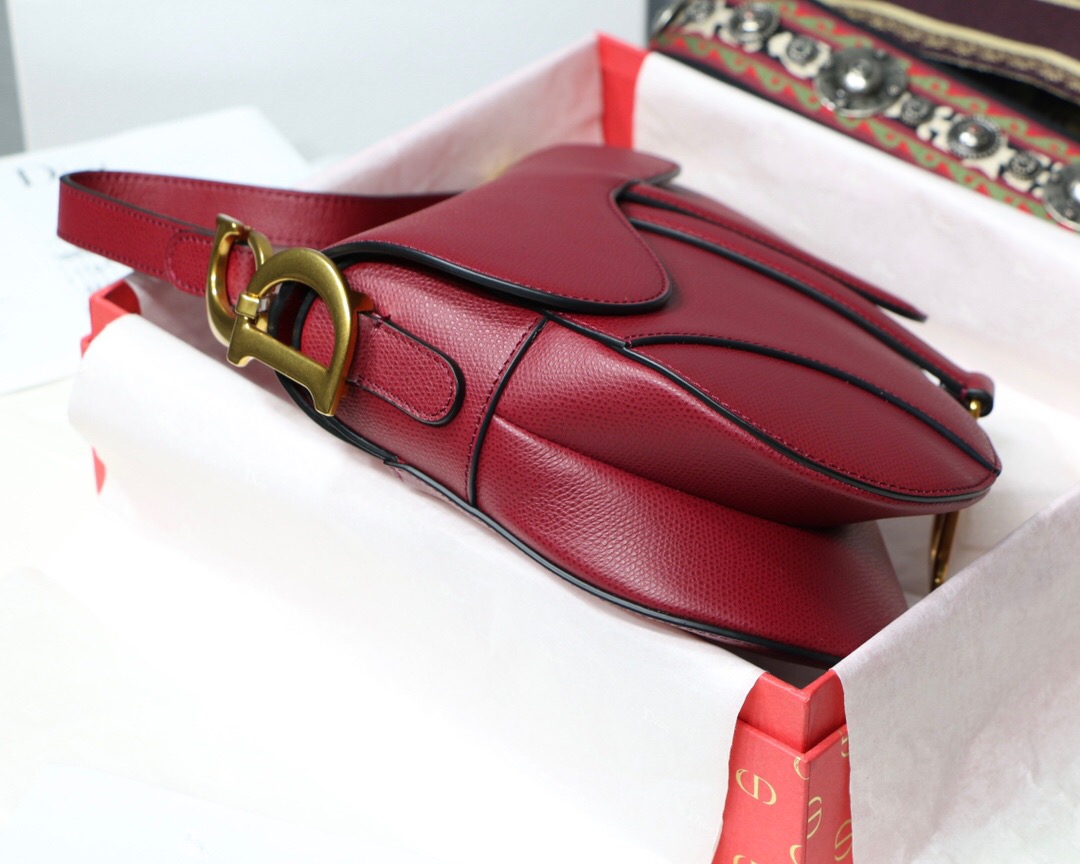 M0447CWVG, MINI DIOR SADDLE CALFSKIN BAG