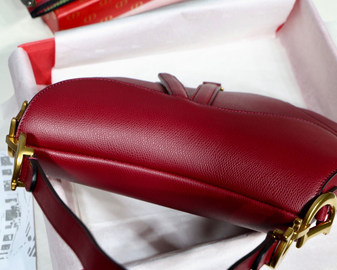 M0447CWVG, MINI DIOR SADDLE CALFSKIN BAG