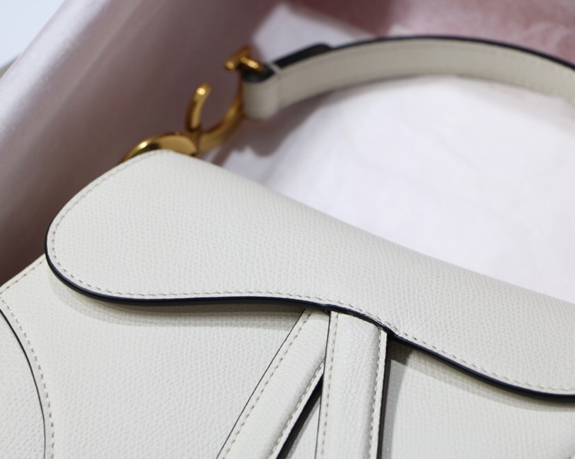 M0446CWVG, DIOR SADDLE CALFSKIN BAG