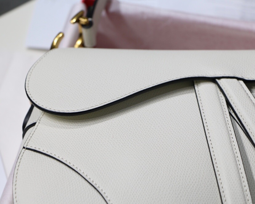 M0447CWVG, MINI DIOR SADDLE CALFSKIN BAG