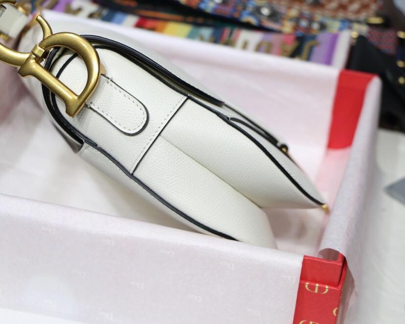 M0447CWVG, MINI DIOR SADDLE CALFSKIN BAG