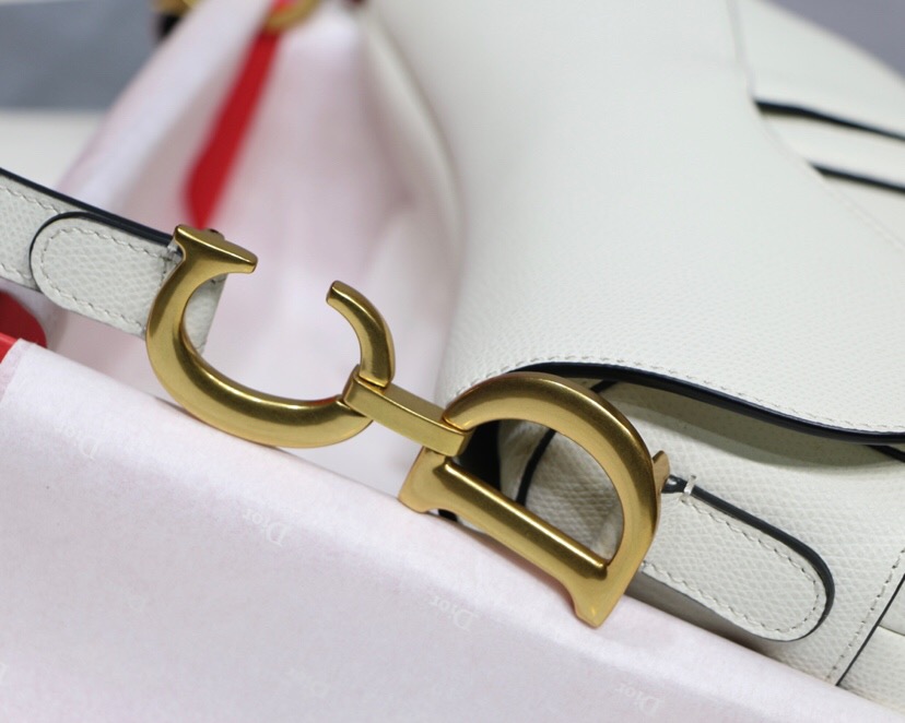 M0447CWVG, MINI DIOR SADDLE CALFSKIN BAG