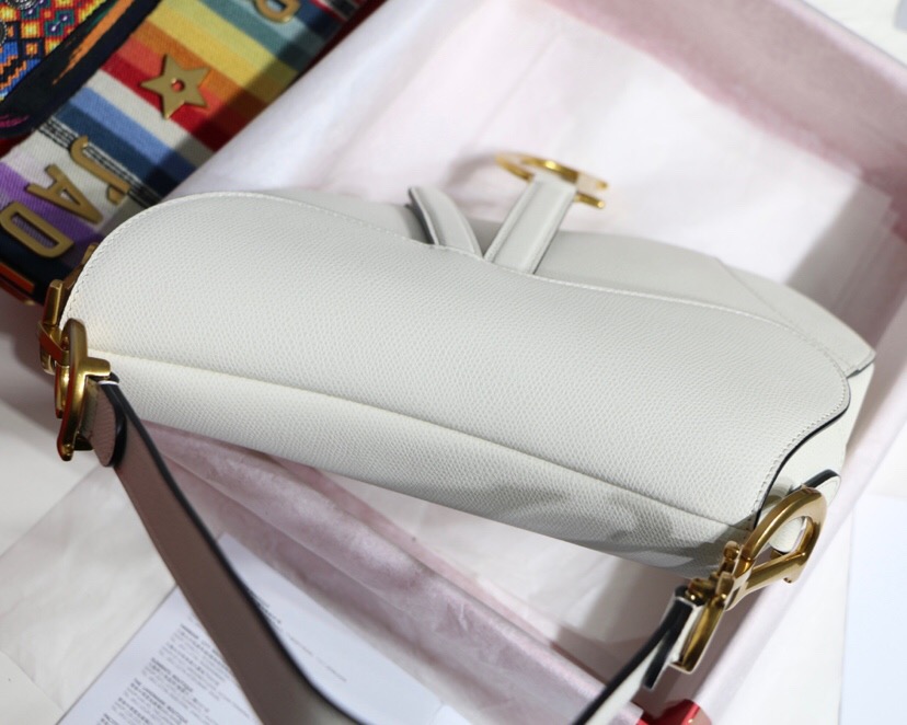 M0447CWVG, MINI DIOR SADDLE CALFSKIN BAG