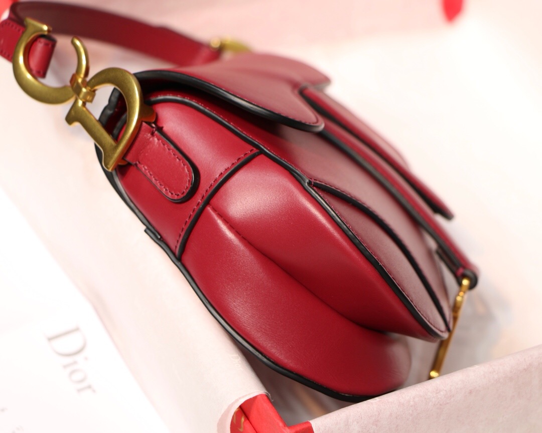 M0447CWVG, MINI DIOR SADDLE CALFSKIN BAG