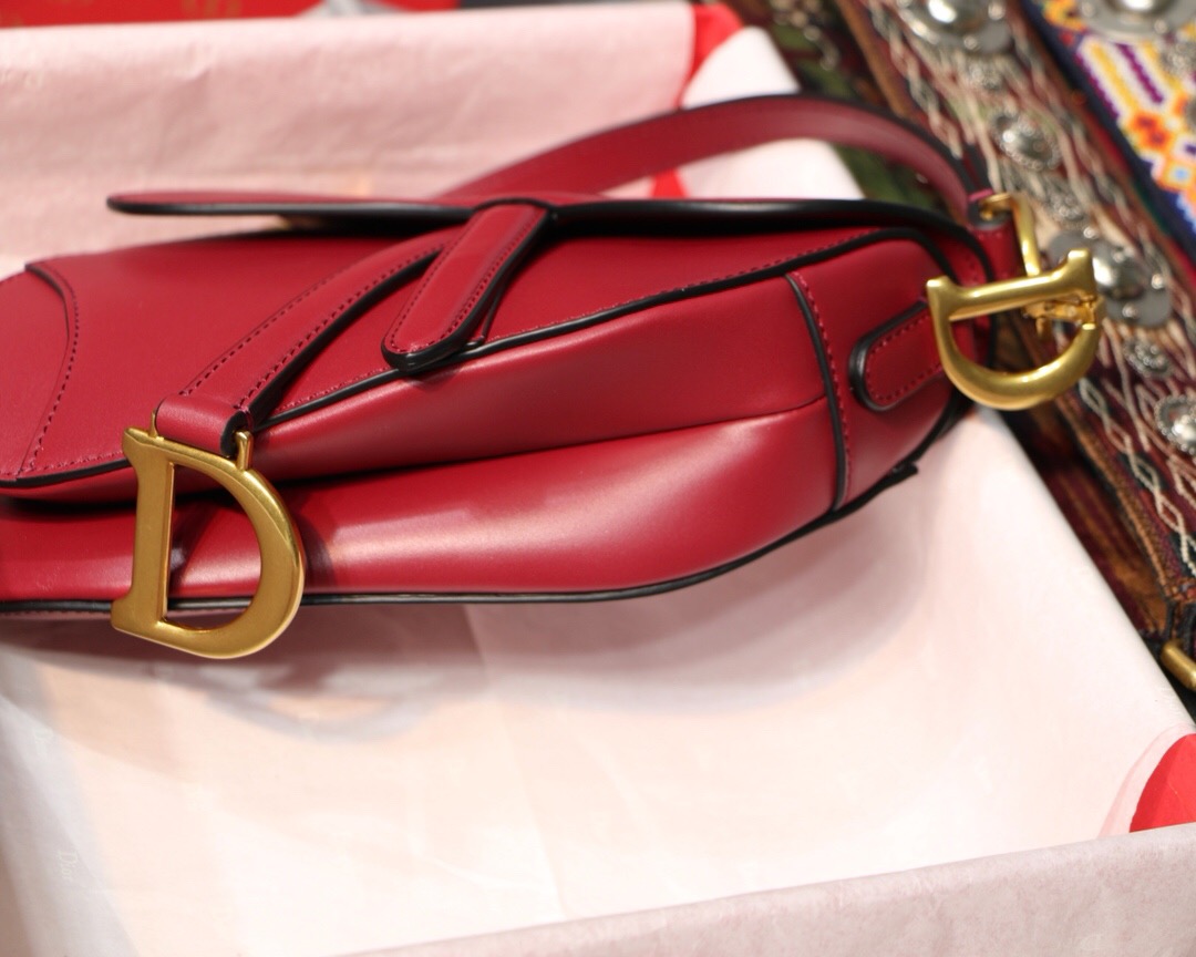 M0447CWVG, MINI DIOR SADDLE CALFSKIN BAG