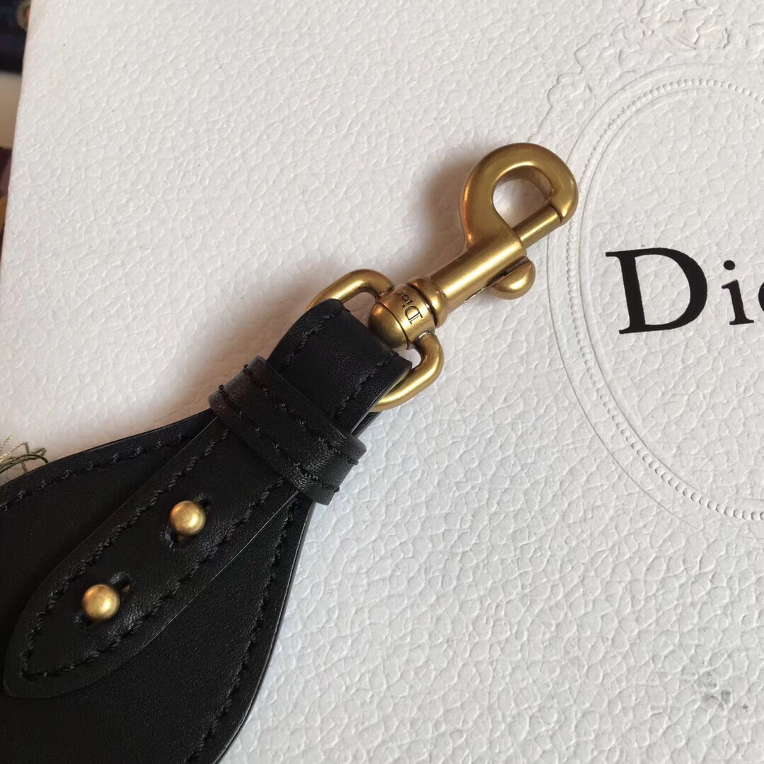 DIOR SHOULDER STRAP