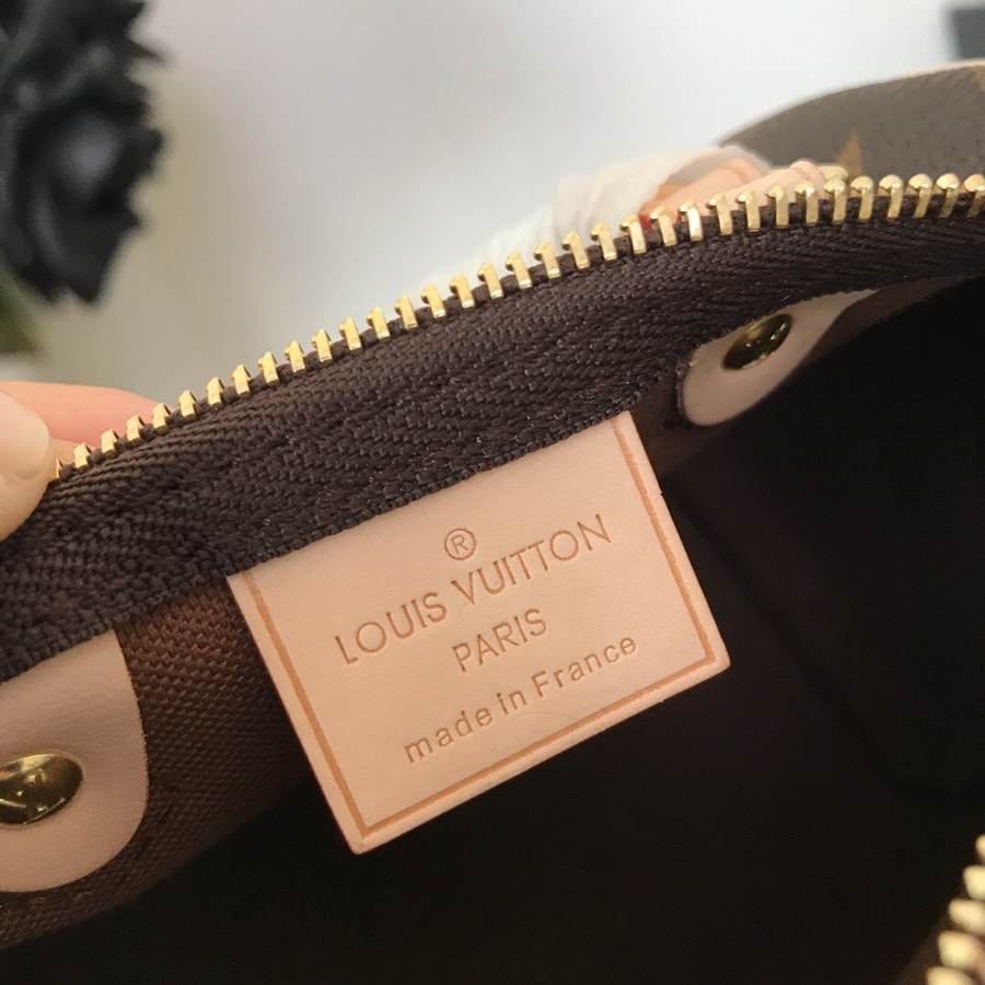 NANO SPEEDY M61252, Louis Vuitton LV Handbag, Original Quality, 6.3 x 4.3 x 3.5 inches 