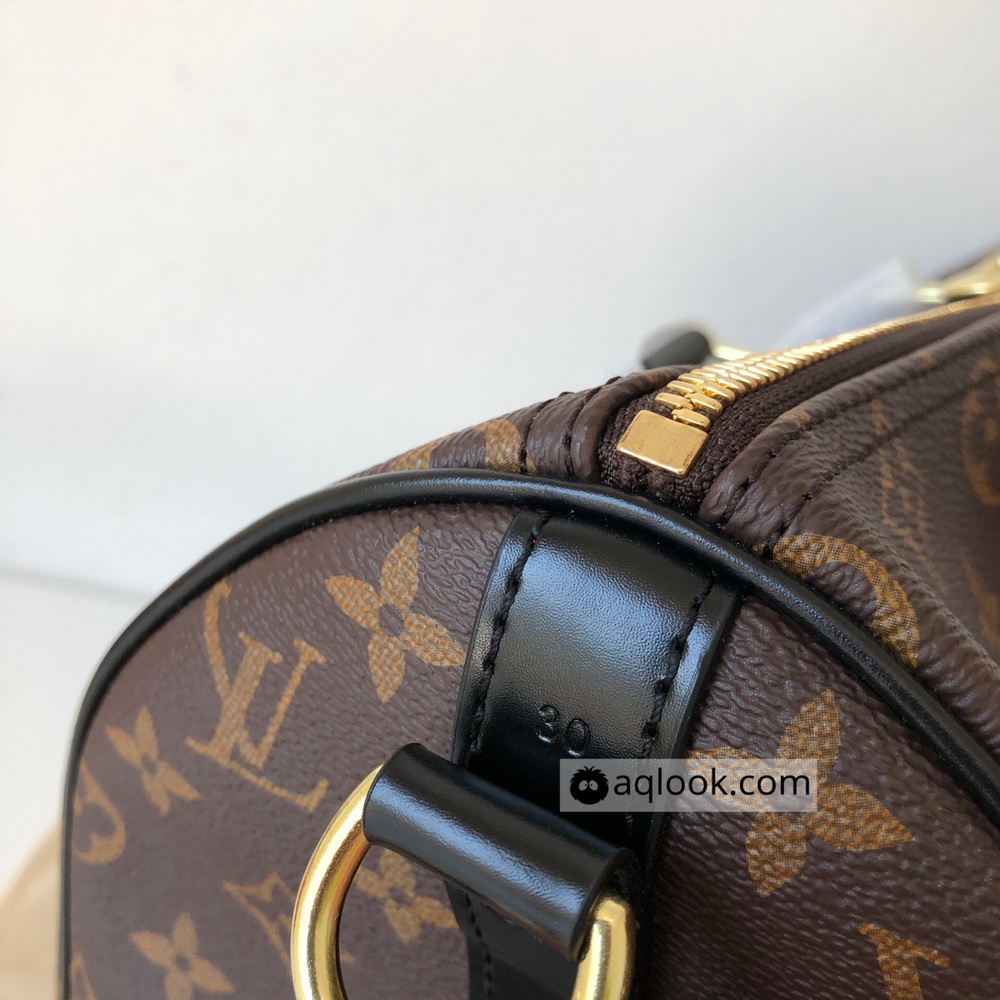Louis Vuitton LV Handbags, SPEEDY BANDOULIÈRE 30, Monogram Canvas