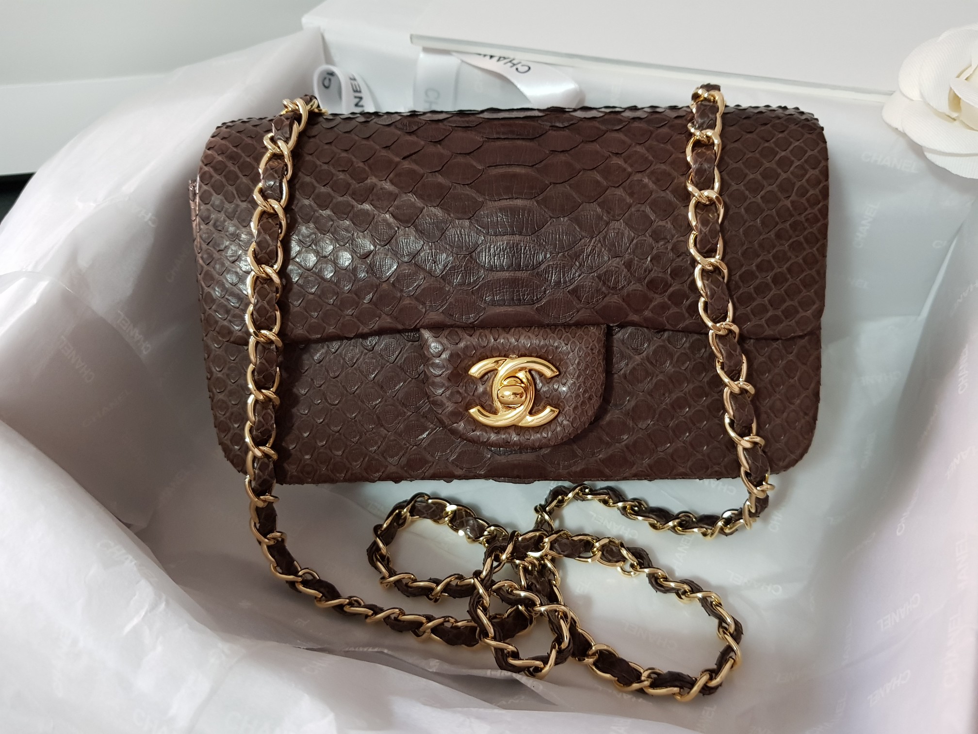 chanel small classic bag