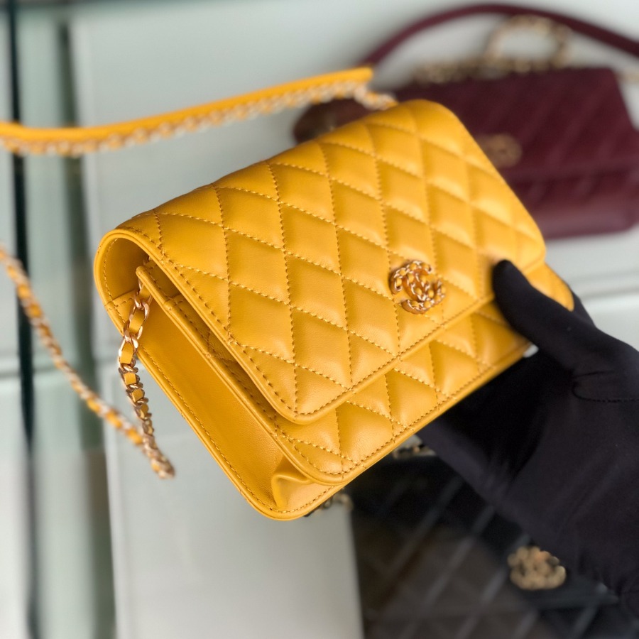AP0724 Wallet On Chain, Chanel Bag