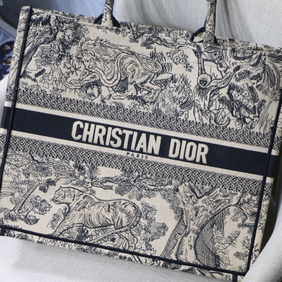DIOR BOOK TOTE BAG IN EMBROIDERED CANVAS