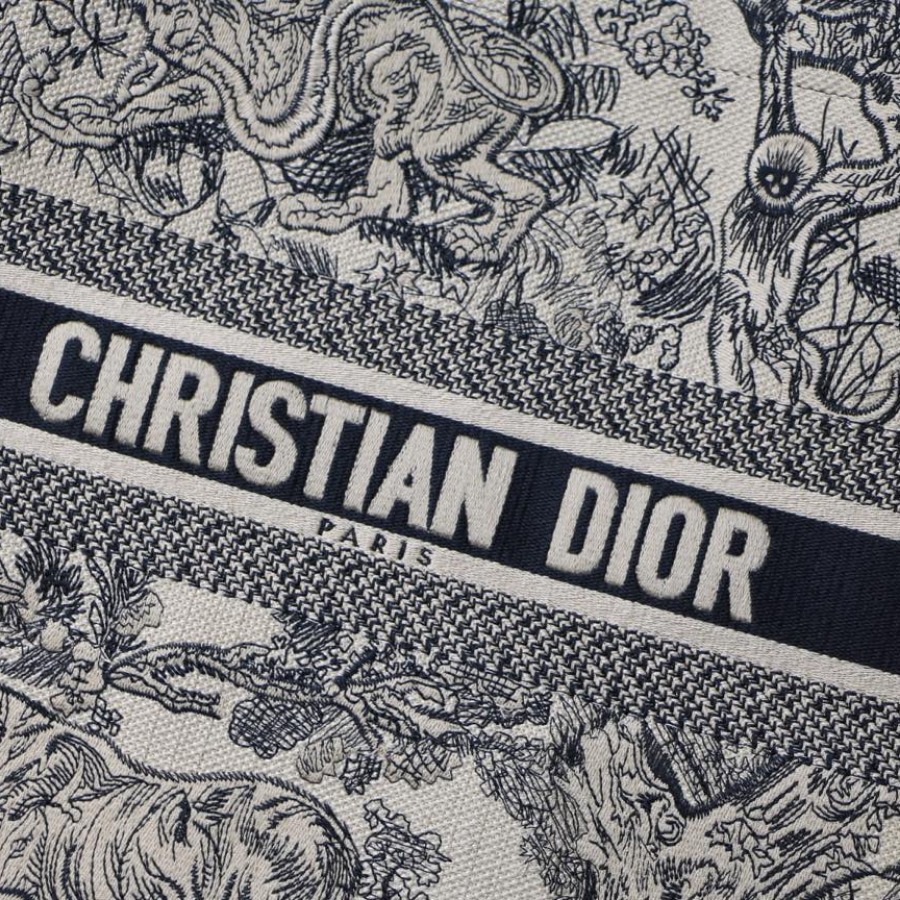 DIOR BOOK TOTE BAG IN EMBROIDERED CANVAS